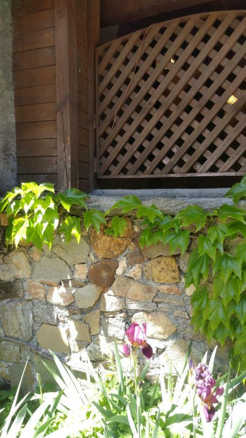 Beau Duplex: Cozy 3-star With Netflix And Parking Apartment *